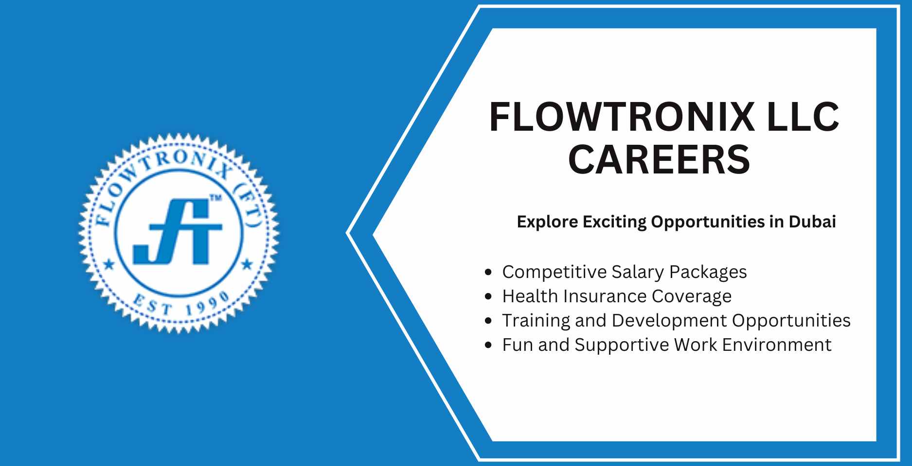 Flowtronix LLC Careers: Explore Exciting Opportunities in Dubai